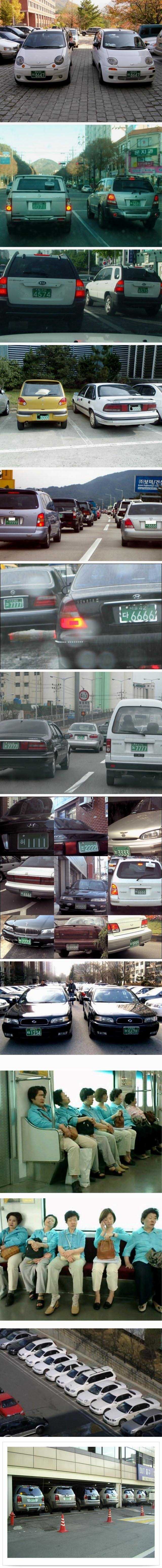 f9.jpg